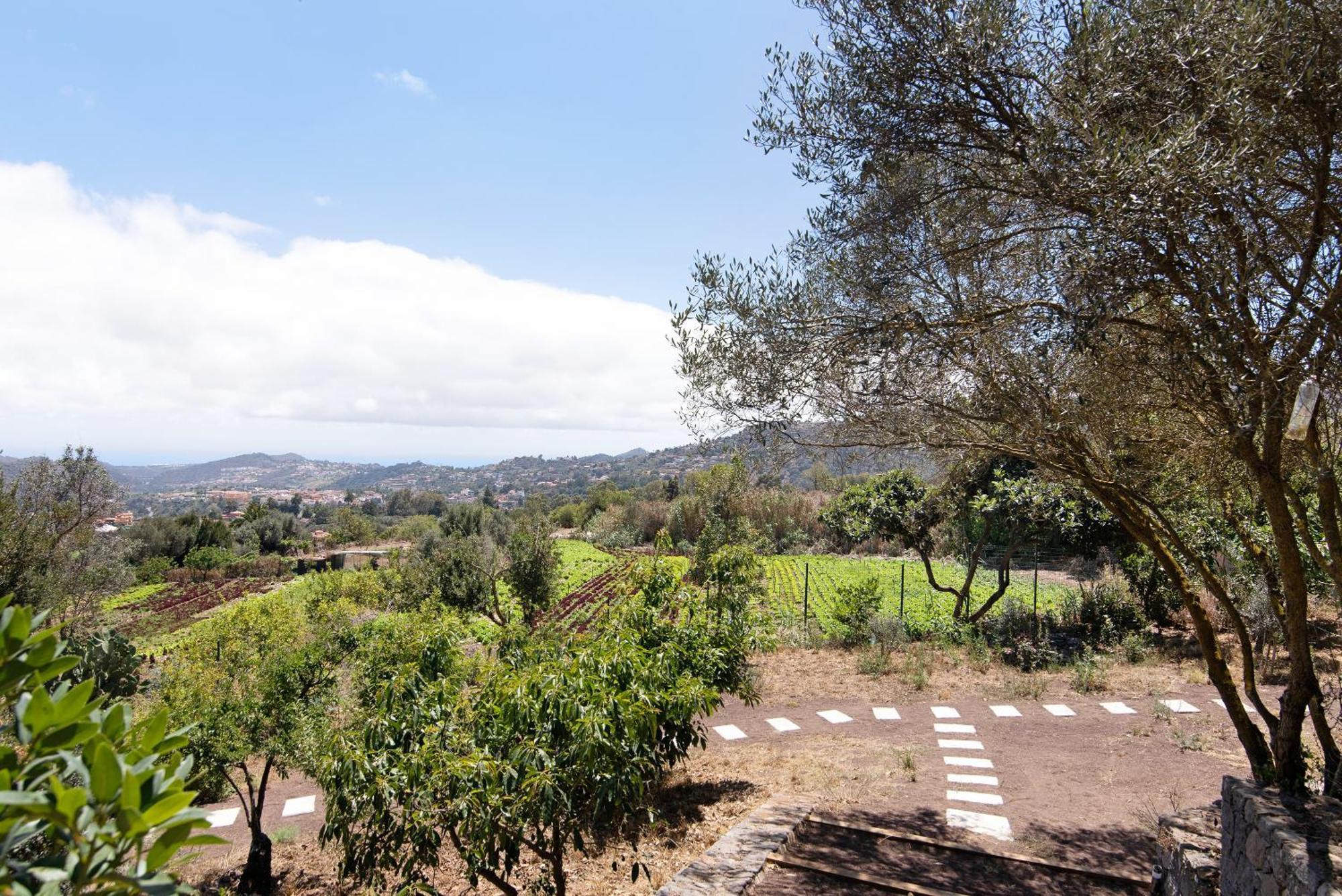 הוילה Santa Brígida La Casita De La Orilla De Penate מראה חיצוני תמונה