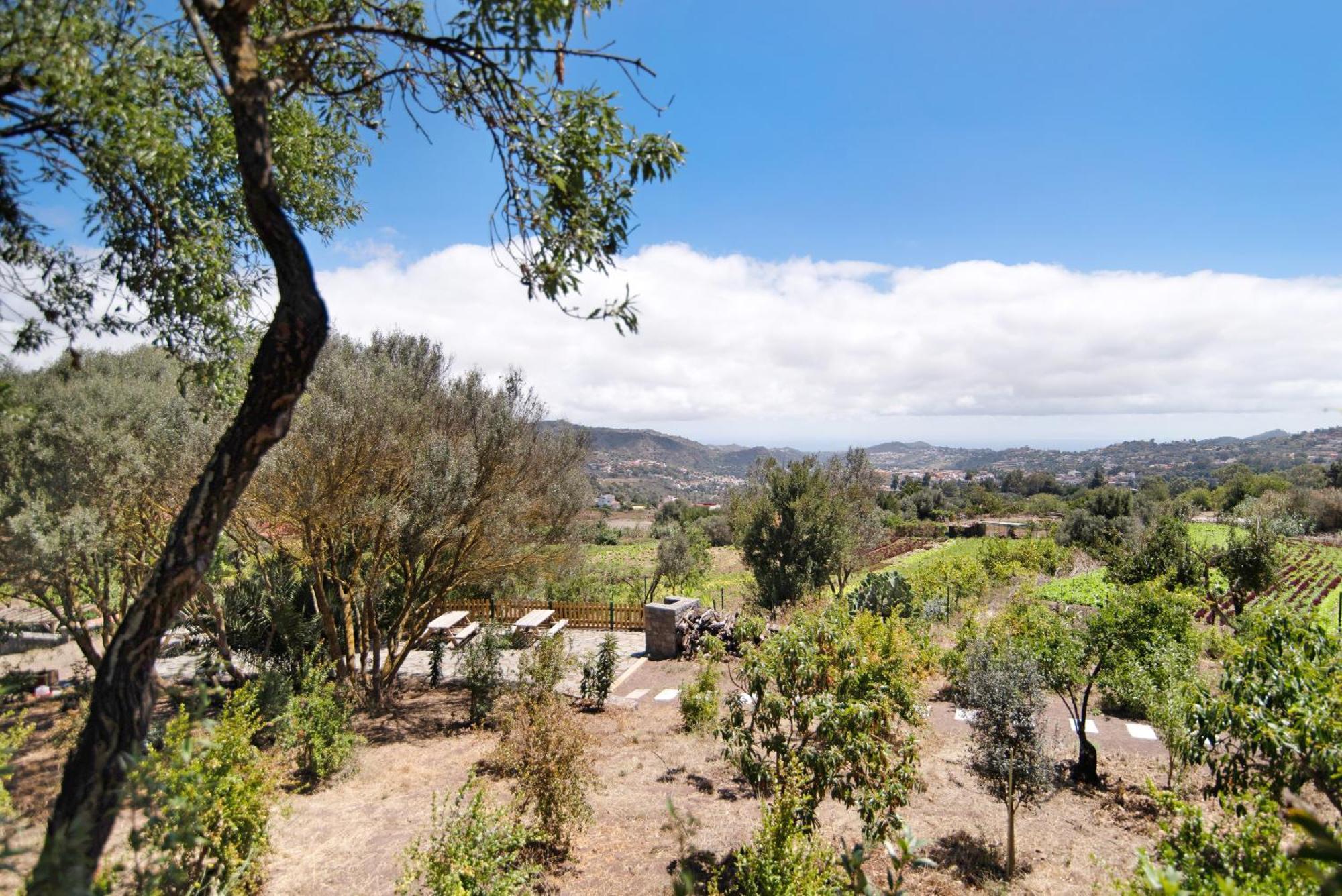 הוילה Santa Brígida La Casita De La Orilla De Penate מראה חיצוני תמונה