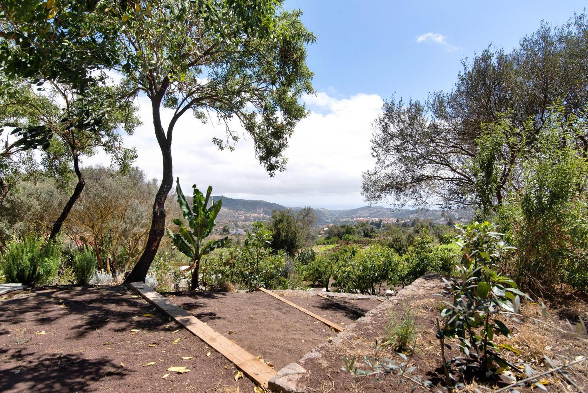 הוילה Santa Brígida La Casita De La Orilla De Penate מראה חיצוני תמונה